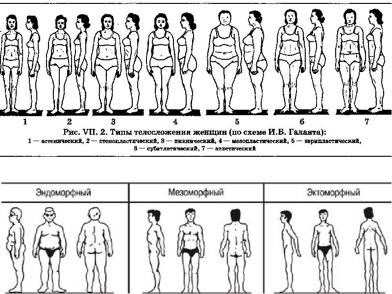Для описания женских типов телосложения наиболее приемлема схема