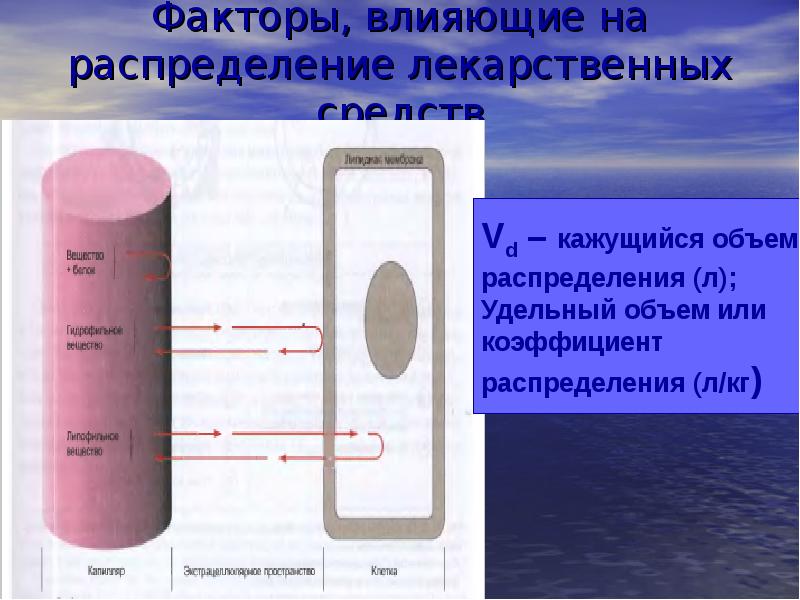 Фактор 20. Факторы влияющие на распределение лекарств. Факторы влияющие на распределение лекарственных средств. Факторы влияющие на распределение лс. Факторы влияющие на распределение лекарственных веществ.