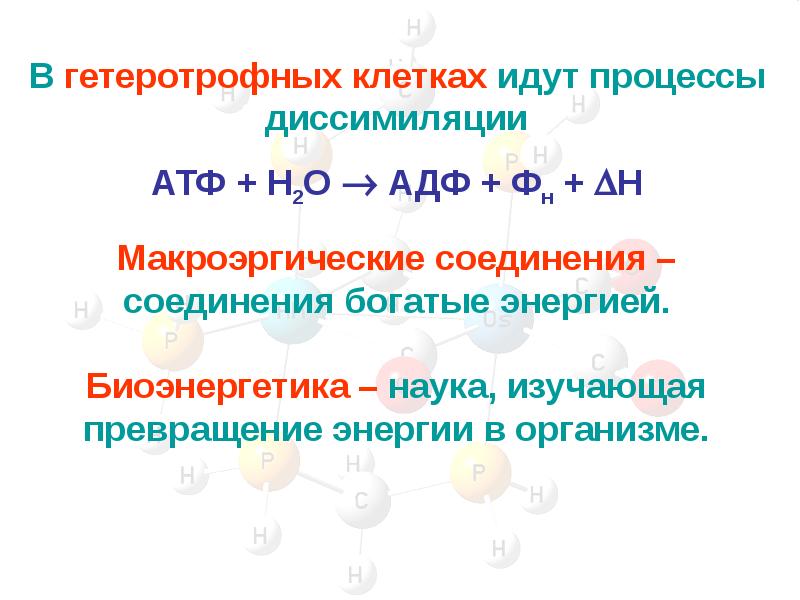 Химические реакции термодинамики. Энергетика химических реакций 9 класс. Диссимиляция.