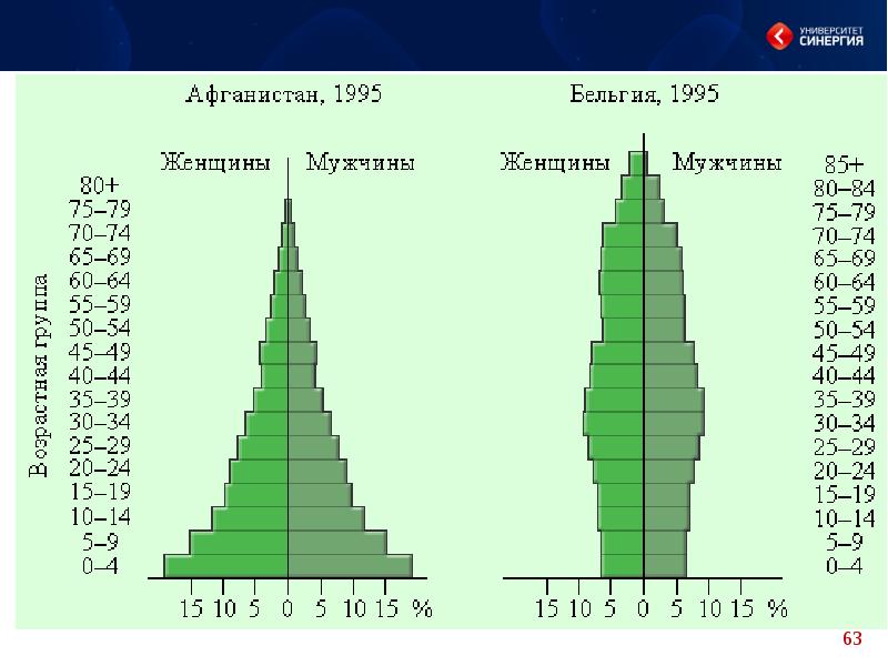 Возрастная структура популяции схема