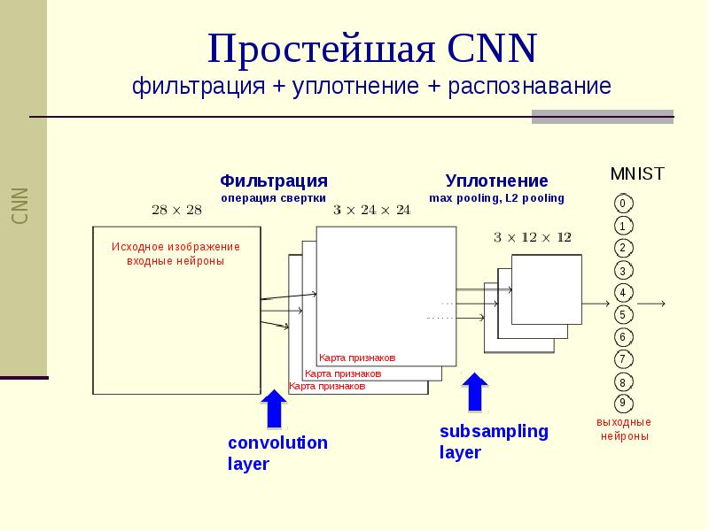 Сверточные нейронные сети презентация