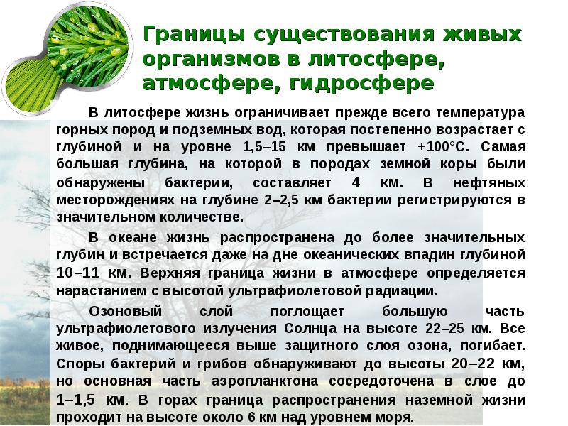 Факторы существования живых организмов. Учение о биосфере презентация 10 класс Пономарева. Верхний предел существования жизни в атмосфере. Основные параметры для существования живых организмов. Какие условия необходимы для существования живых организмов.