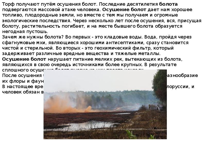 Можно осушить. Осушение болот пути решения проблемы. Зачем осушают болота. Почему нужно осушать болота. Последствия осушения болот.