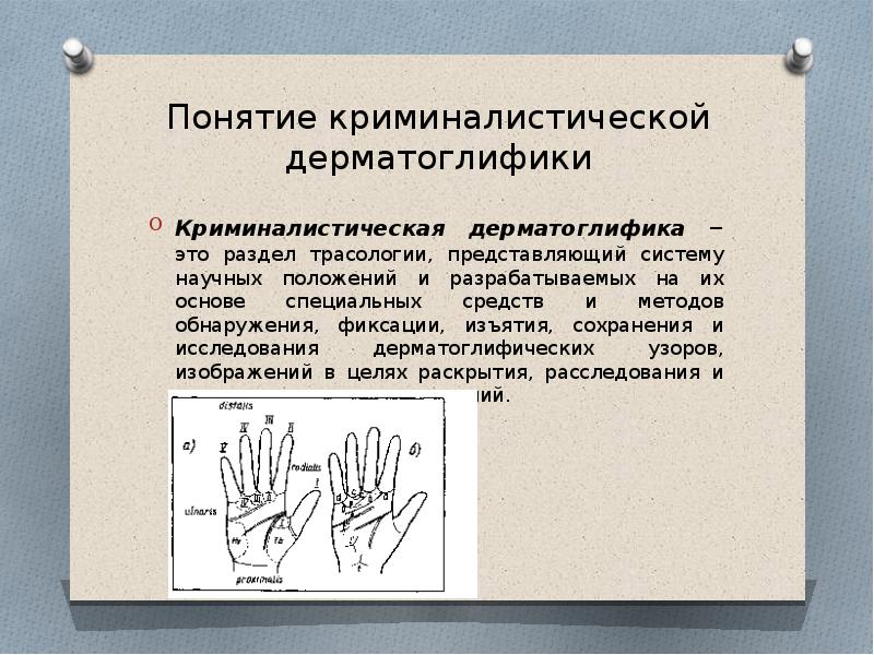 Дерматоглифический метод презентация