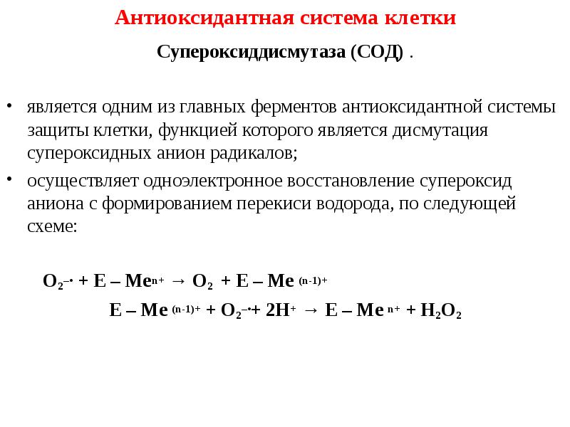 Антиоксидантные ферменты