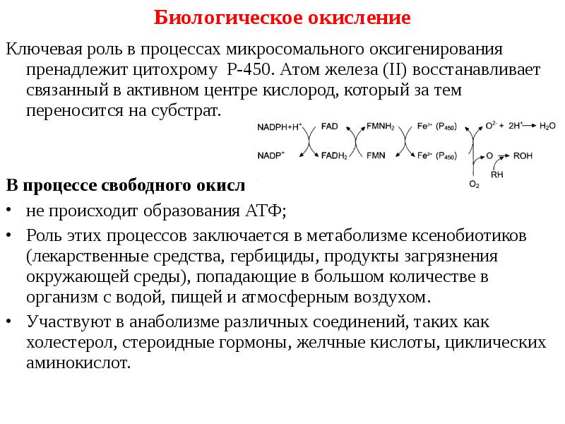 Окисление органических веществ в организме. Биологическая роль реакций микросомального окисления. Ферменты участвующие в процессе биологического окисления. Функциональная роль микросомального окисления. Процесс микросомального окисления.