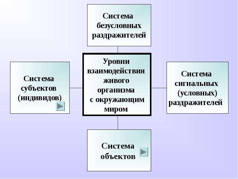 Категория деятельности