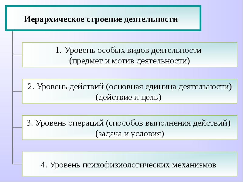 Категория деятельности