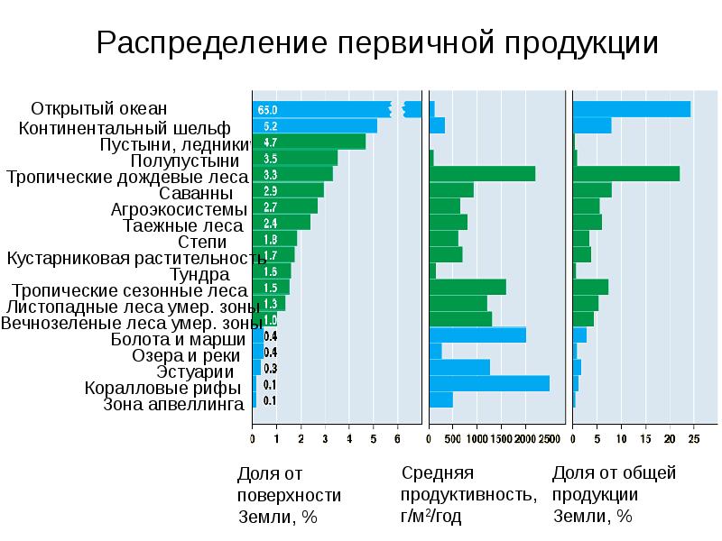 Экологические системы презентация