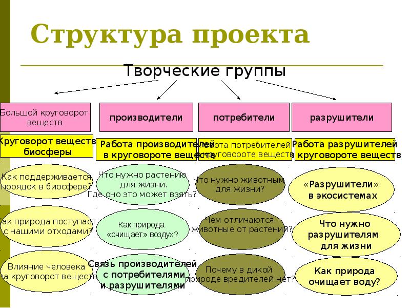 Структура проекта в 10 классе