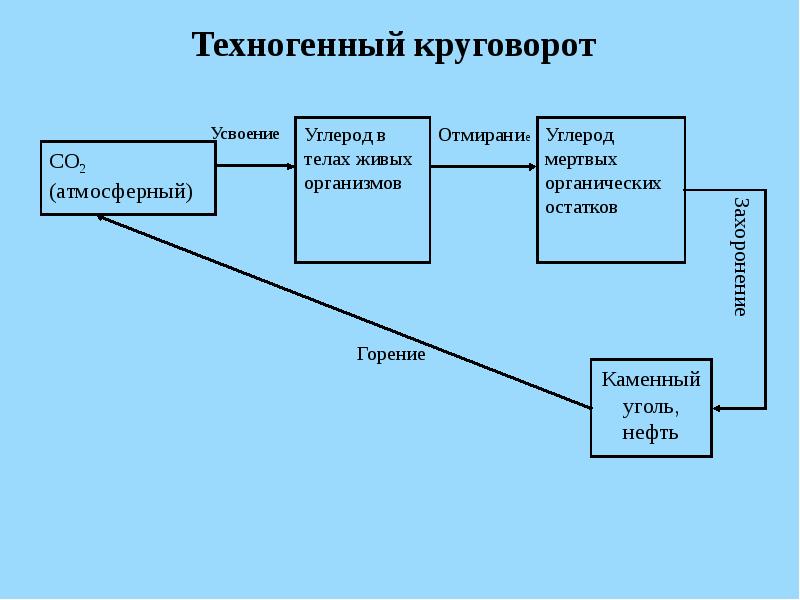 Техногенные экосистемы презентация