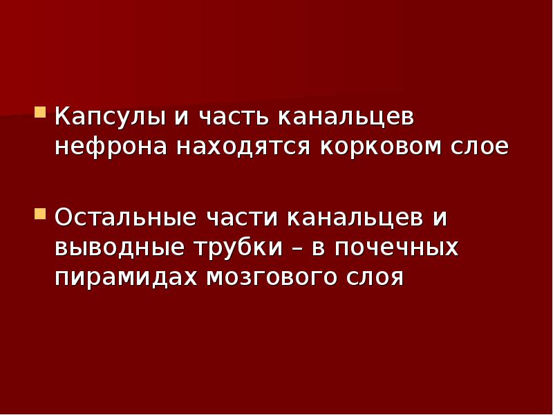 Капсулы и часть канальцев нефрона находятся корковом слое
Остальные части канальцев Капсулы и часть канальцев нефрона находятся корковом слое
Остальные части канальцев