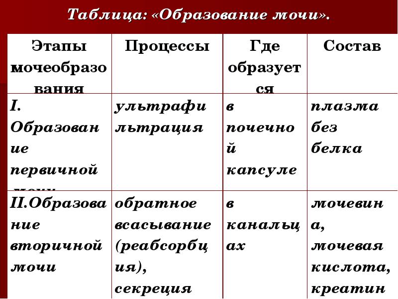 Таблица: «Образование мочи». Таблица: «Образование мочи».