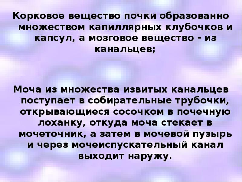 Корковое вещество почки образованно множеством капиллярных клубочков и капсул, а мозговое Корковое вещество почки образованно множеством капиллярных клубочков и капсул, а мозговое