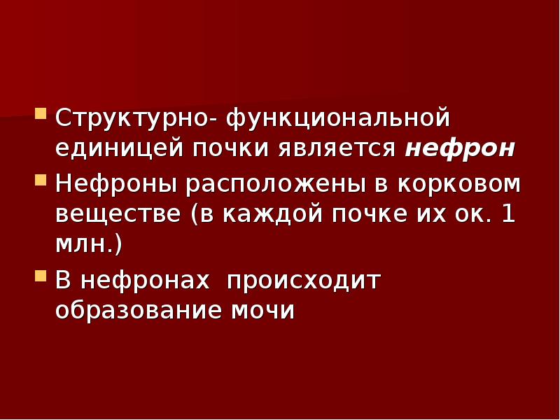 Структурно- функциональной единицей почки является нефрон
Структурно- функциональной единицей почки является Структурно- функциональной единицей почки является нефрон
Структурно- функциональной единицей почки является
