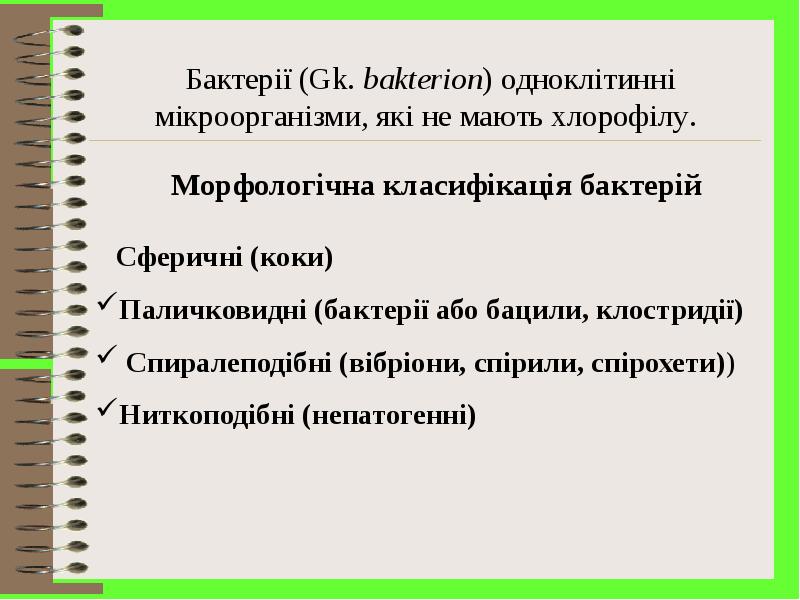 Реферат: Морфологія бактерій Будова бактеріальної клітини