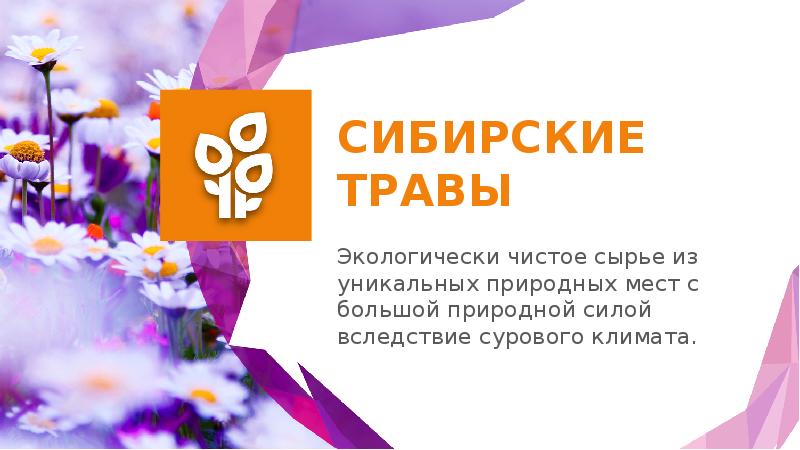 Презентация сибирское здоровье