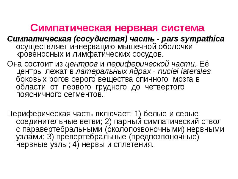 Симпатическая нервная система Симпатическая (сосудистая) часть - pars sympathica осуществляет иннервацию