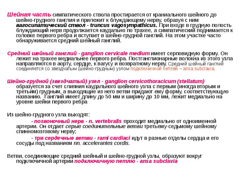 Шейная часть симпатического ствола простирается от краниального шейного до шейно-грудного ганглия