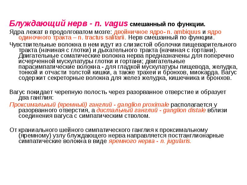 Блуждающий нерв - n. vagus смешанный по функции.  Ядра лежат