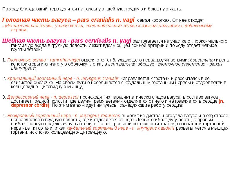 По ходу блуждающий нерв делится на головную, шейную, грудную и брюшную