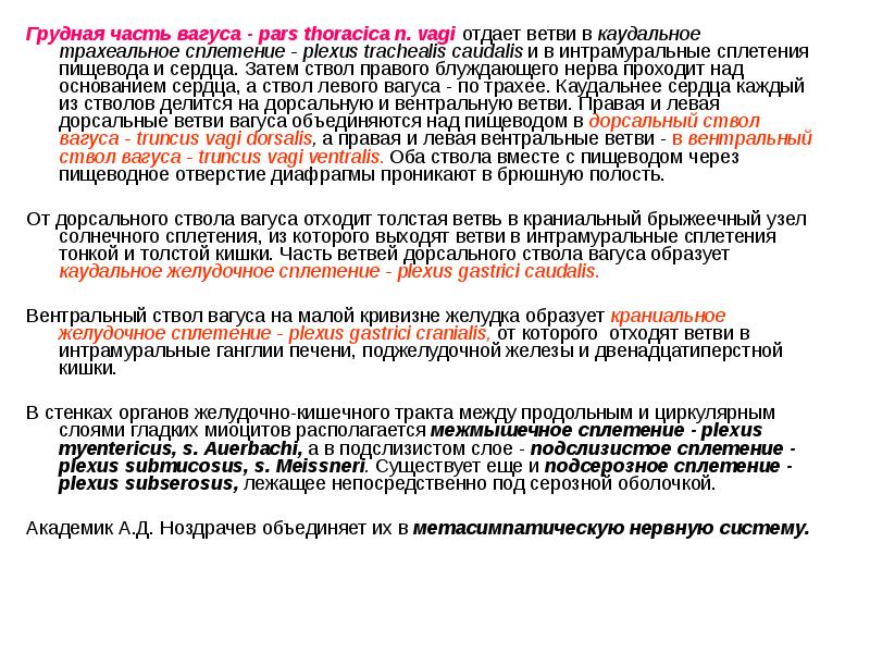 Грудная часть вагуса - pars thoracica n. vagi отдает ветви в