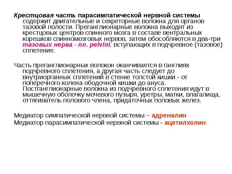 Крестцовая часть парасимпатической нервной системы содержит двигательные и секреторные волокна для