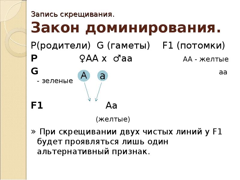 Количество типов гамет