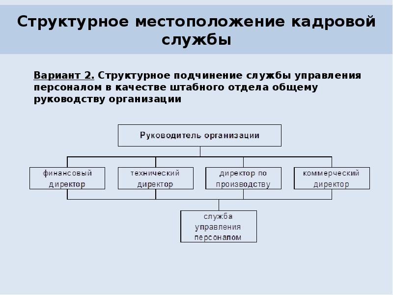 Кадровая служба органа. Структурное расположение кадровой службы. Структурная схема кадровой службы. Организация работы кадровой службы. Варианты структурного местоположения кадровой службы предприятия.