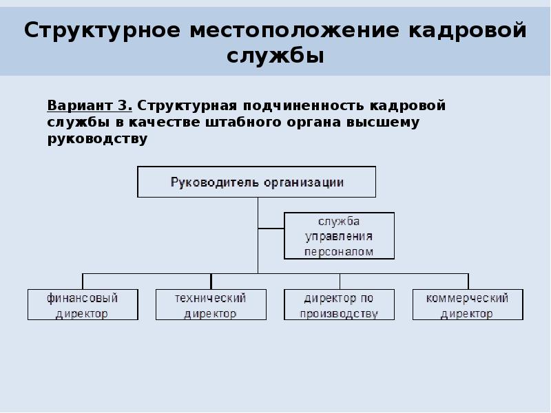 Кадровая служба это. Местоположение кадровой службы в системе управления организации. Структурное месторасположение кадровой службы. Структура кадровой службы организации. Структура кадровой службы государственного органа.