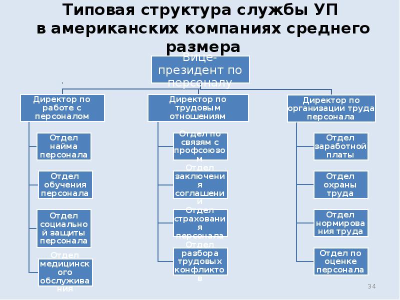 Организационная структура службы. Структура организации США. Структура кадровой службы среднего предприятия. Структура управления компанией в США. Структура американской компании.