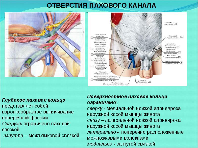 Паховые кольца растяжение симптомы и лечение у мужчин