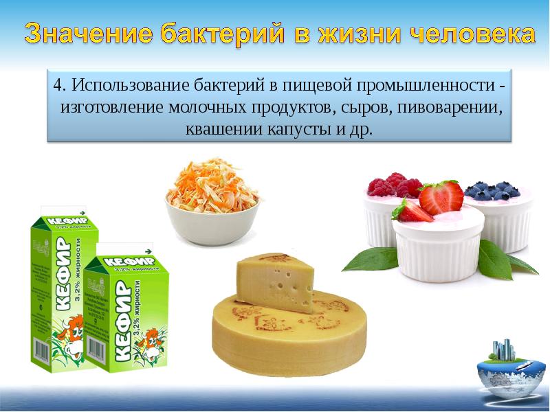 Получение продуктов. Бактерии в пищевой промышленности. Использование бактерий в пищевой промышленности. Микроорганизмы в пищевой промышленности. Использование микроорганизмов в пищевой промышленности.