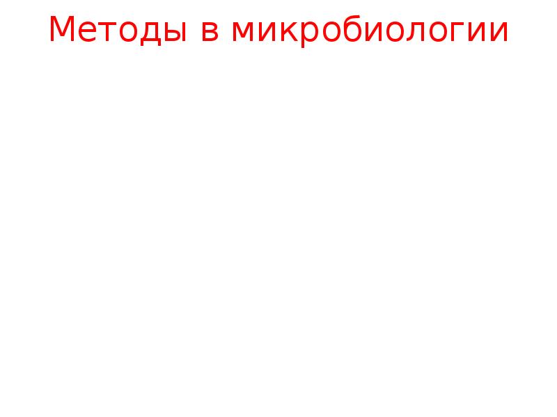 Реферат: Эволюция протозойных и грибковых заболеваний