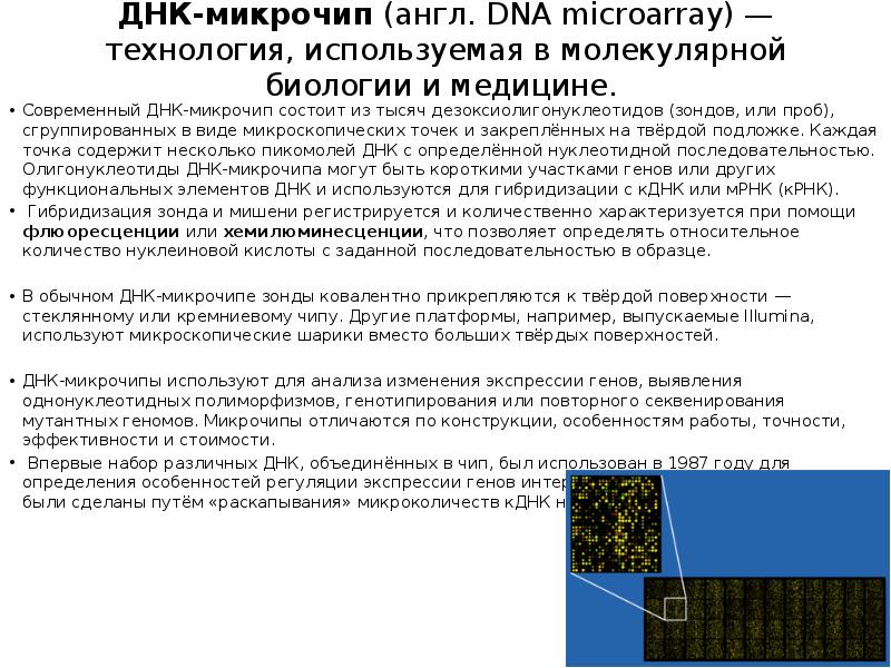 Днк микрочипы презентация