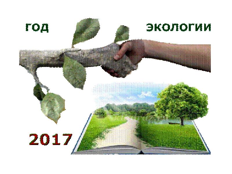 Год экологии в россии 2017 презентация