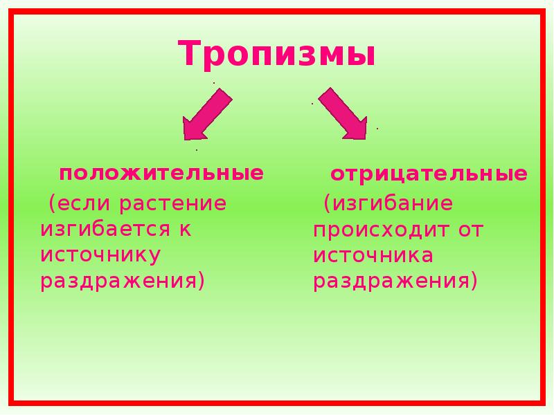 Движения растений презентация