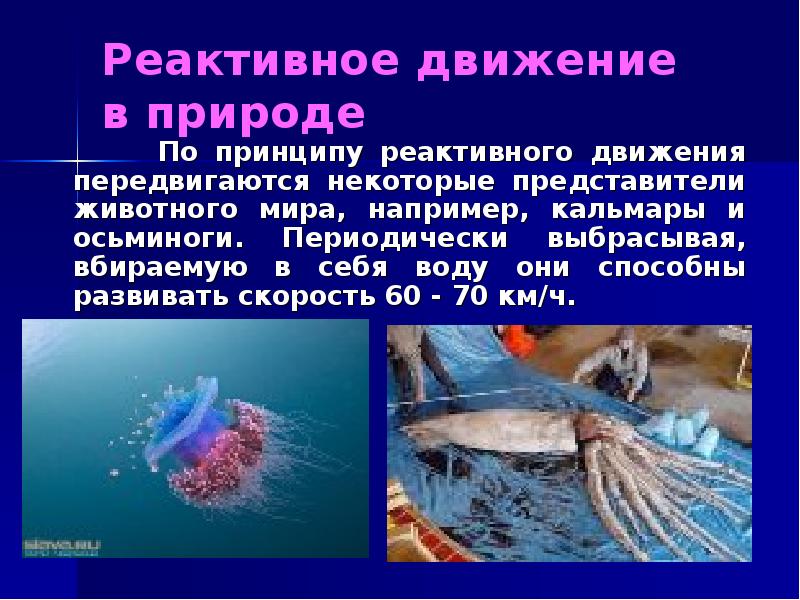 Реактивное движение в природе
По Реактивное движение в природе
По