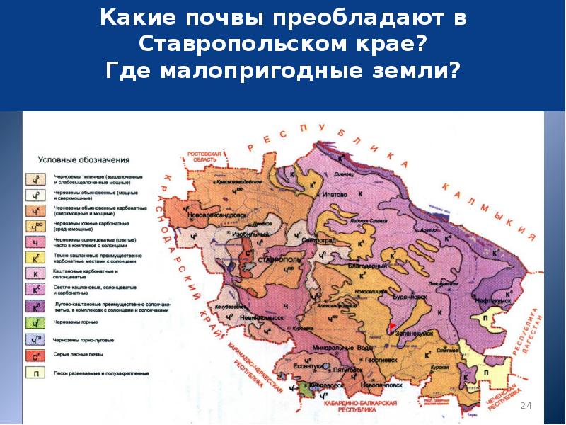 Преобладающие почвы