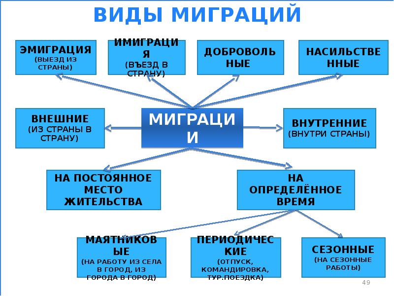 Виды миграции картинки