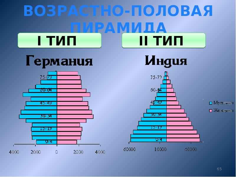 Возрастно половая пирамида