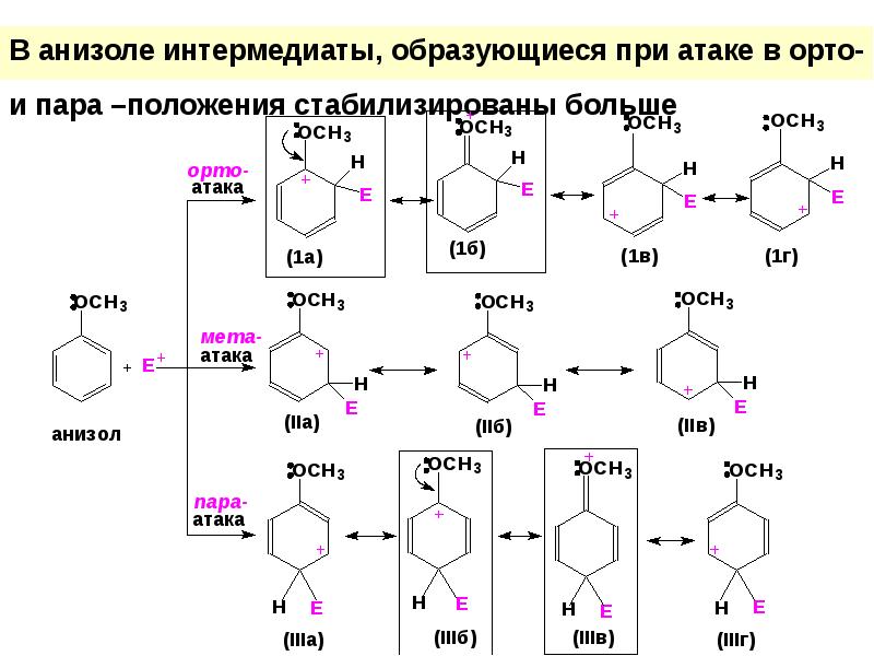 Мета орто положение