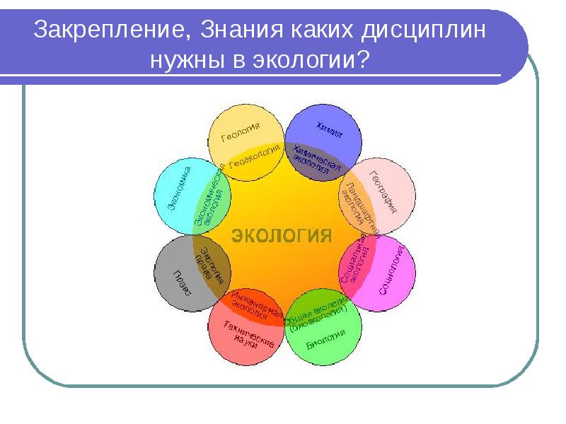 Какой уровень организации жизни изображен на рисунке