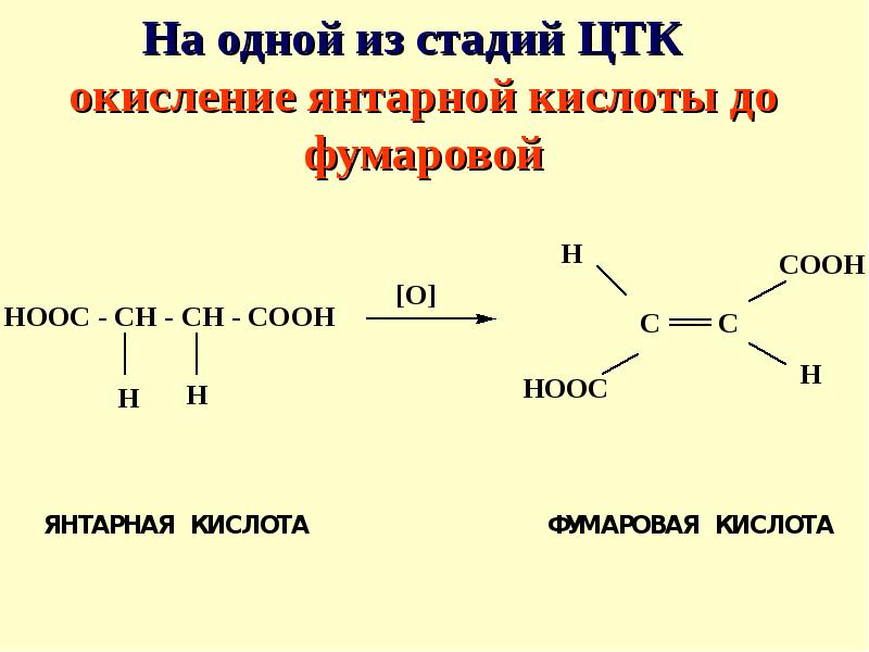 Реакции окисления кислот. Окисление янтарной кислоты. Окисление янтарной кислоты в фумаровую. Реакция окисления янтарной кислоты. Окисление фумаровой кислоты.