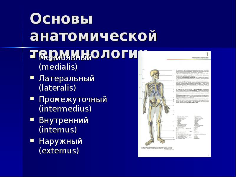 Основы анатомии тест. Основы анатомии. Основы анатомической терминологии. Сочетание анатомической терминологии. Костюм с анатомической структурой.