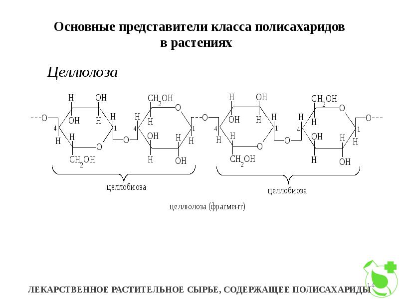 Целлюлоза представители. Химическая формула полисахаридов. Представители полисахаридов. Полисахариды крахмал гликоген Целлюлоза. Общее строение полисахаридов.