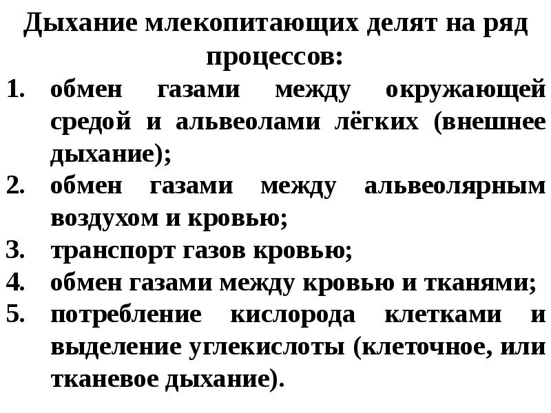 Млекопитающие какое дыхание. Дыхательная млекопитающих. Как дышат млекопитающие.