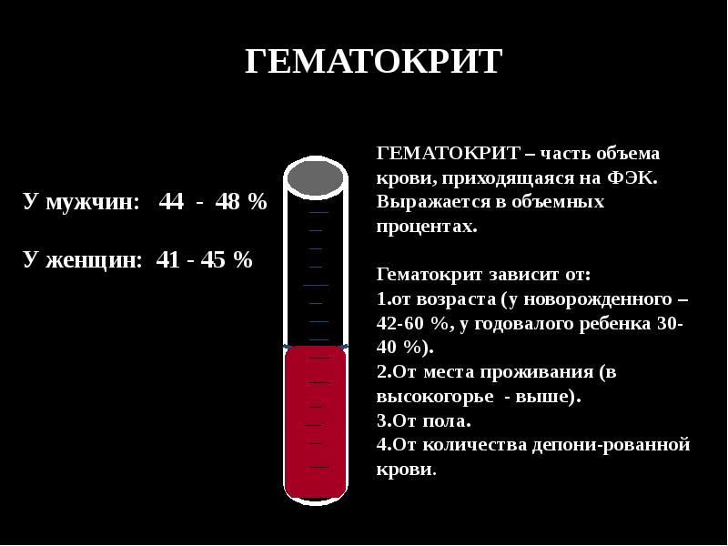 Состав крови и функции презентация