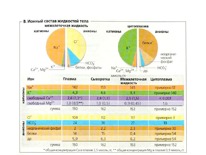 Круговая диаграмма состав плазмы крови