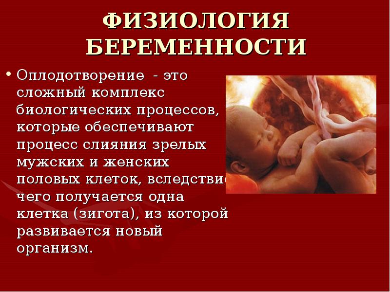 Проект на тему беременность и роды